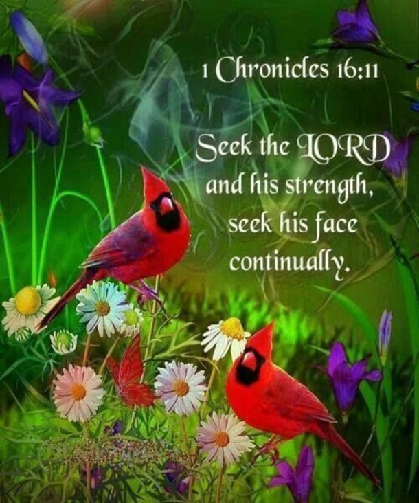 10 Daily Motivating Spiritual Quotes - picture 4