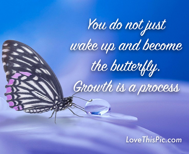 10 Daily Motivating & Inspiring Life Quotes - picture 3