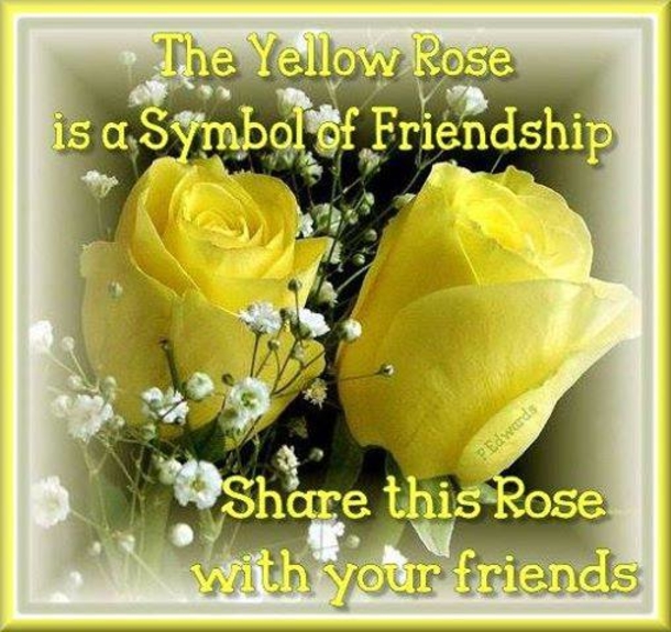10 Daily Quotes On Friendship To Send To Your Best Friends - picture 6