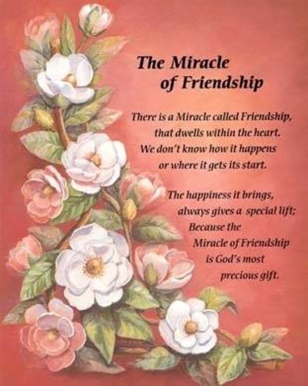 10 Daily Quotes On Friendship To Send To Your Best Friends - picture 8