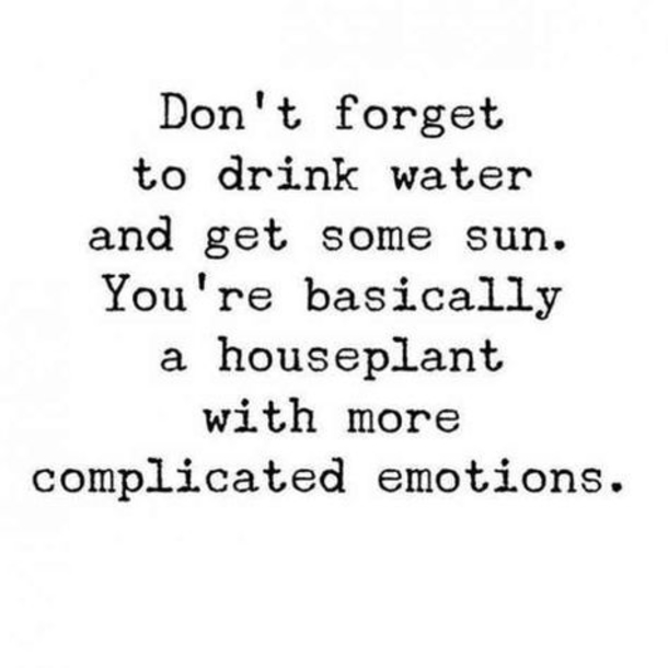 10 Daily Quotes To Live By - picture 2