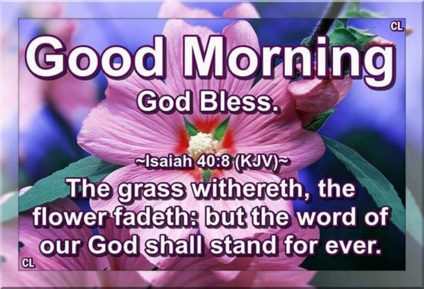 10 Daily Spiritual Good Morning Images - picture 3