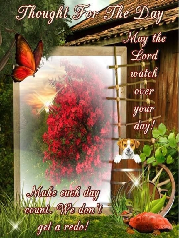 10 Daily Thoughtful Messages And Quotes - picture 4