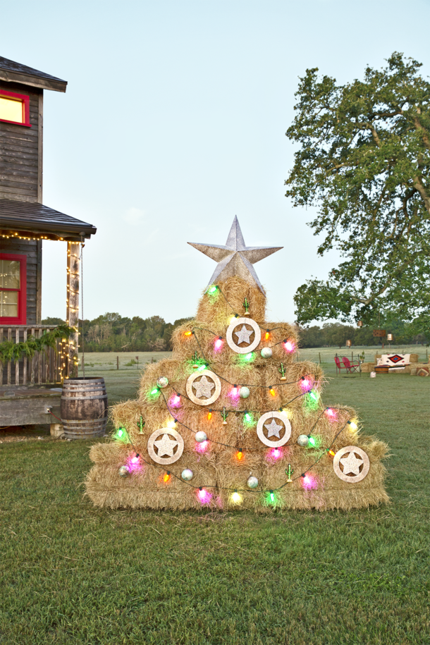 10 Decorative Christmas Ideas for the Front Lawn - picture 4