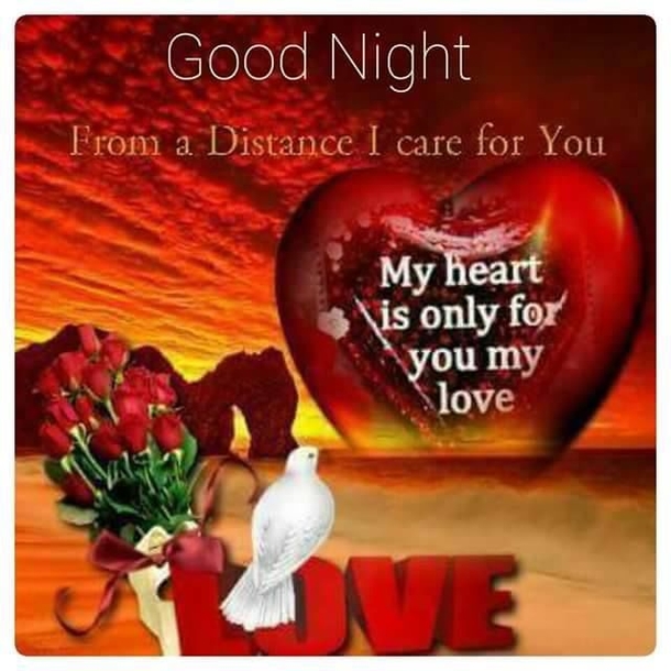 10 Deep Good Night Quotes And Sayings - picture 10