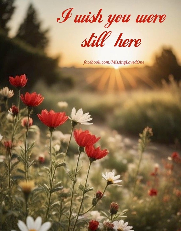 10 Deeply Heart Touching Quotes For Those We Miss In Heaven - picture 11