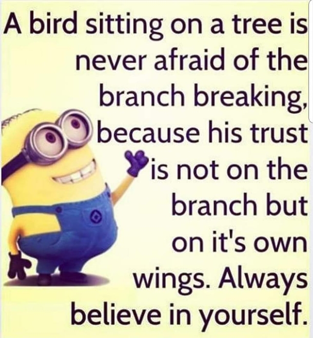 10 Deeply Inspirational Minion Quotes About Life - picture 2
