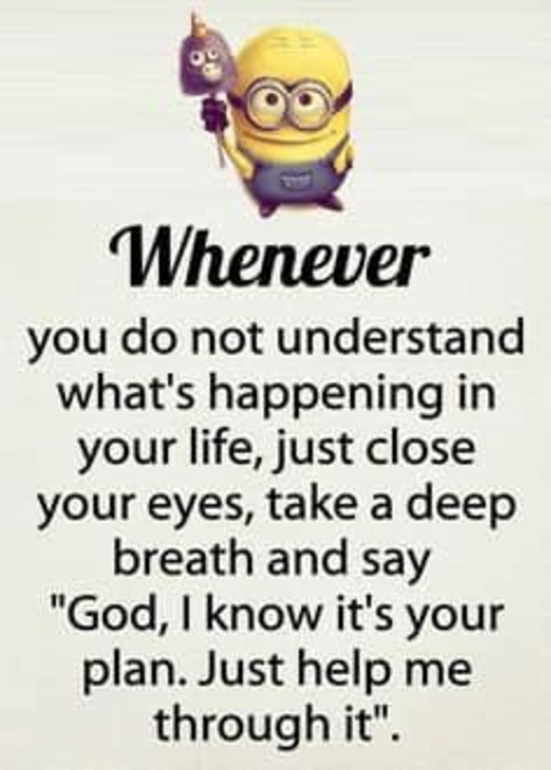 10 Deeply Inspirational Minion Quotes About Life - picture 5