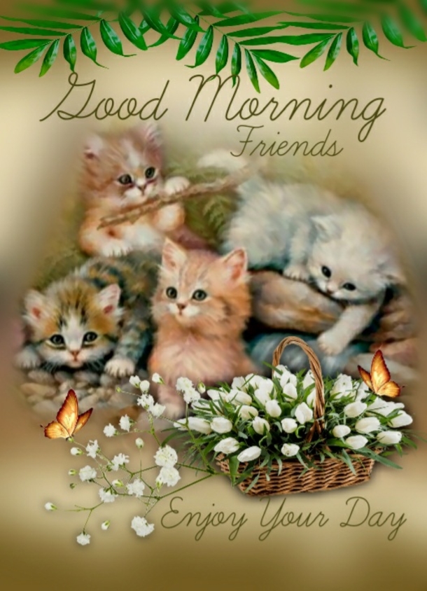 10 Deeply Inspiring & Blessed Good Morning Quotes - picture 4