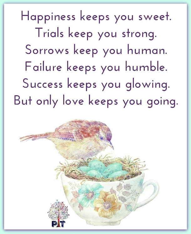 10 Deeply Wise Words For The Day - picture 8