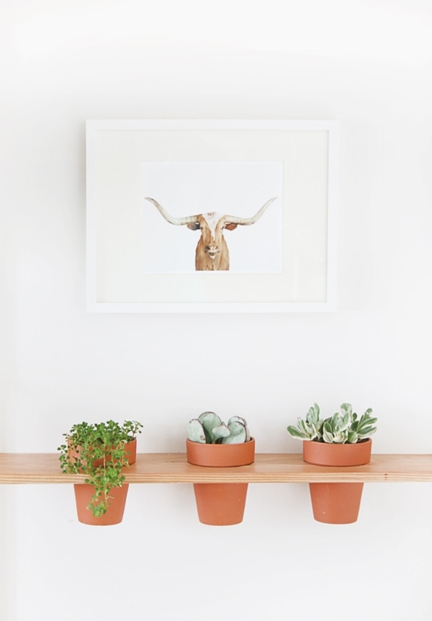 10 DIY Hanging Shelves That Will Make You A Stylish Minimalist - picture 6