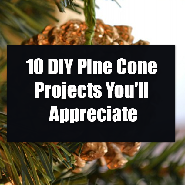10 DIY Pine Cone Projects You'll Appreciate
