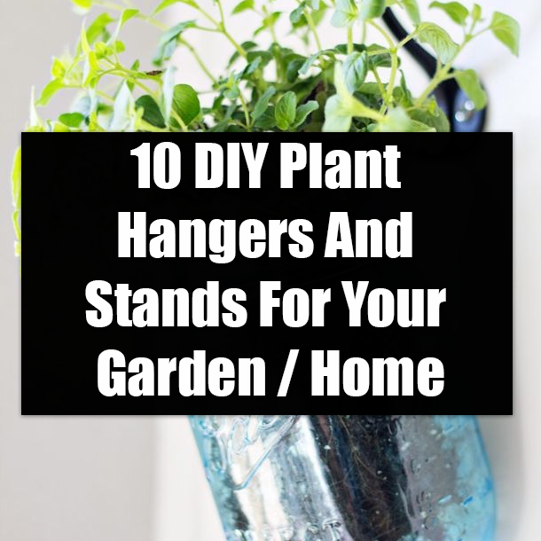 10 DIY Plant Hangers And Stands For Your Garden / Home