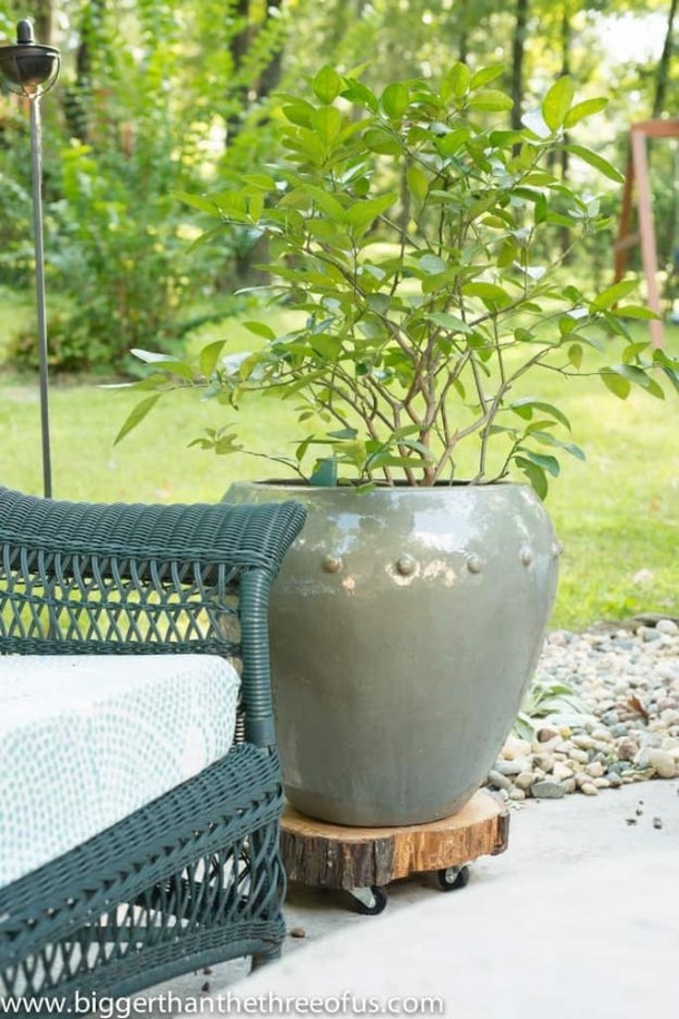 10 DIY Plant Hangers And Stands For Your Garden / Home - picture 11