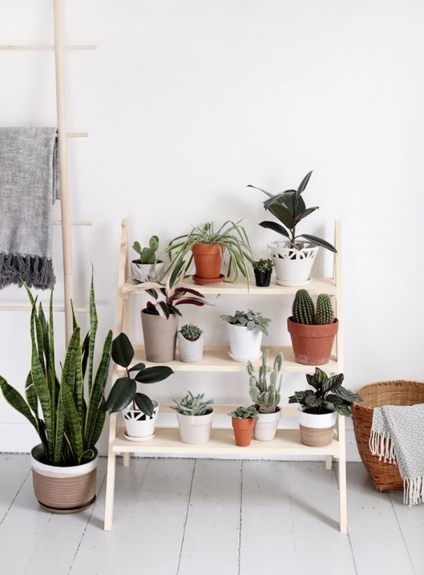 10 DIY Plant Hangers And Stands For Your Garden / Home - picture 4