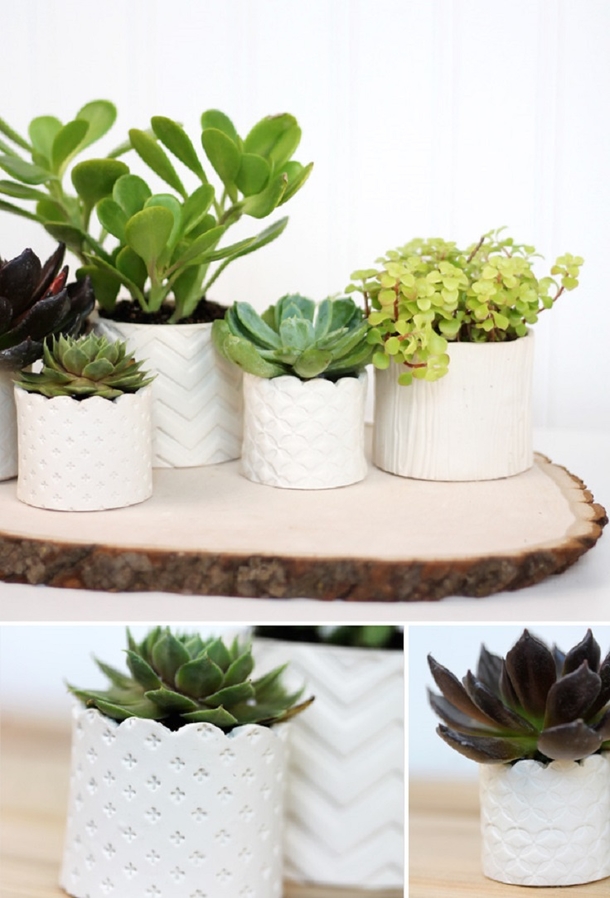10 DIY Succulent Plant Ideas - picture 10
