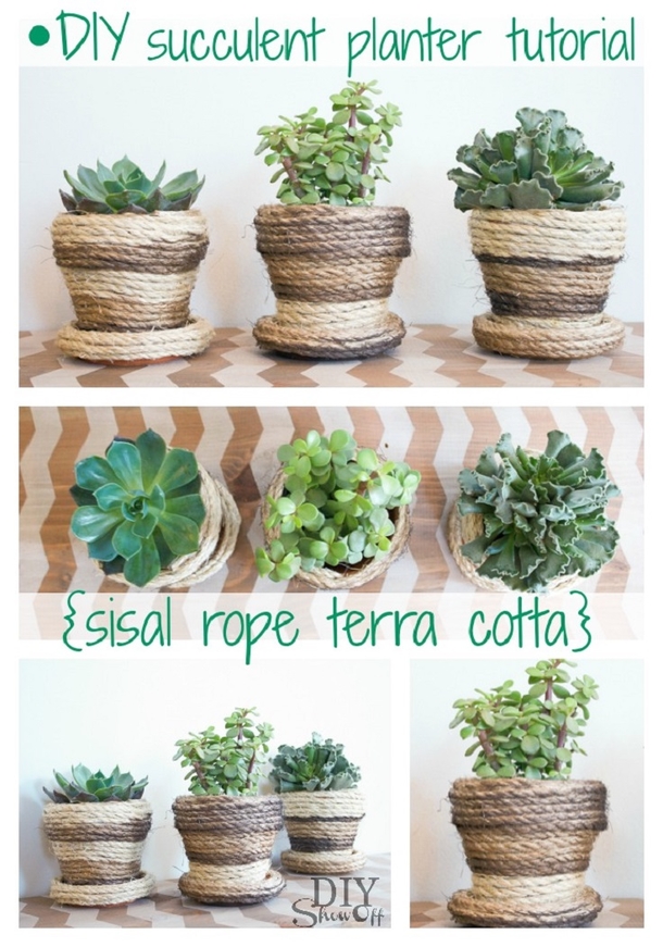 10 DIY Succulent Plant Ideas - picture 11