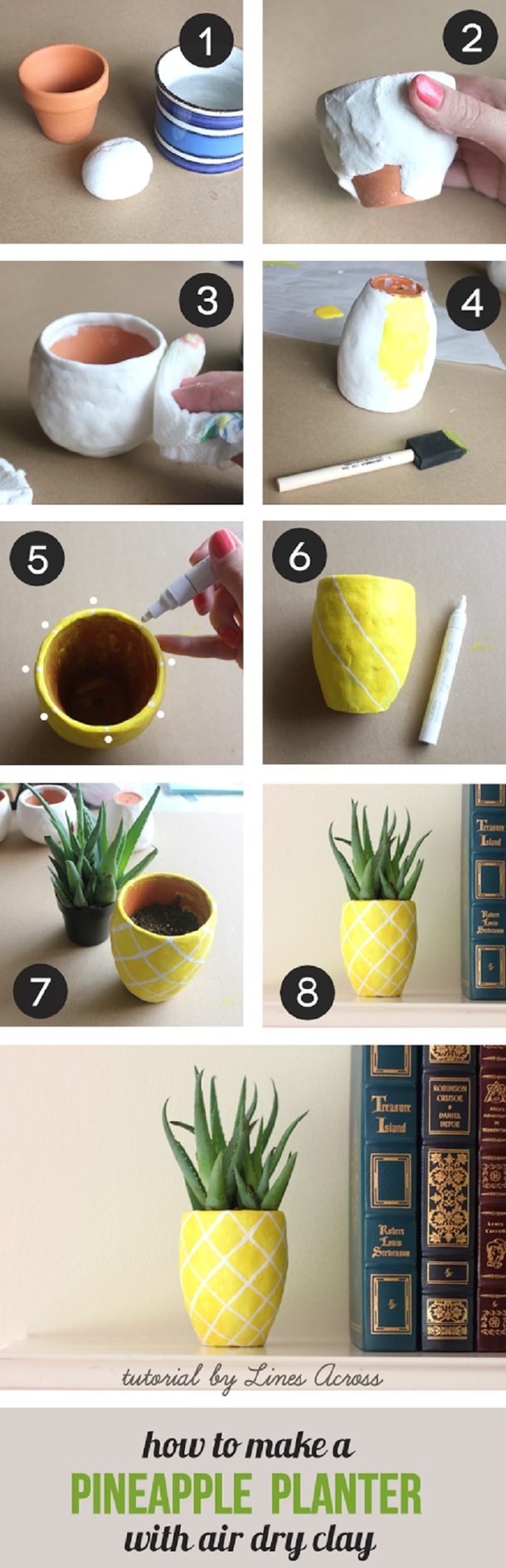 10 DIY Succulent Plant Ideas - picture 2