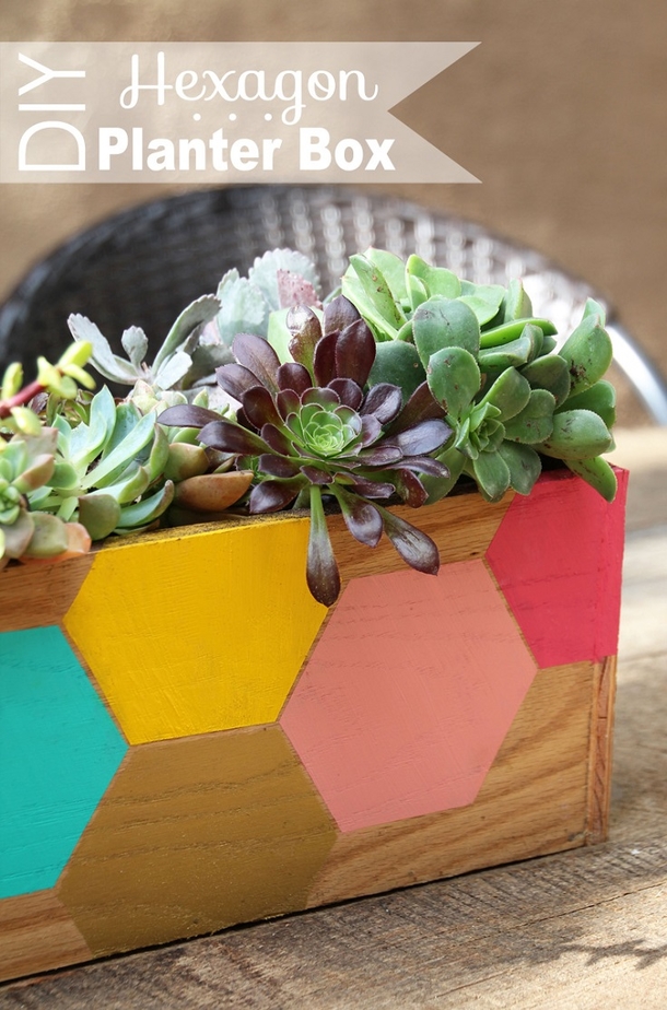 10 DIY Succulent Plant Ideas - picture 3