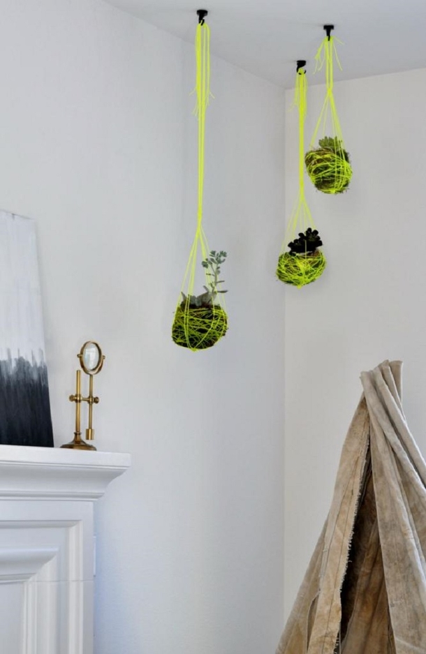 10 DIY Succulent Plant Ideas - picture 5