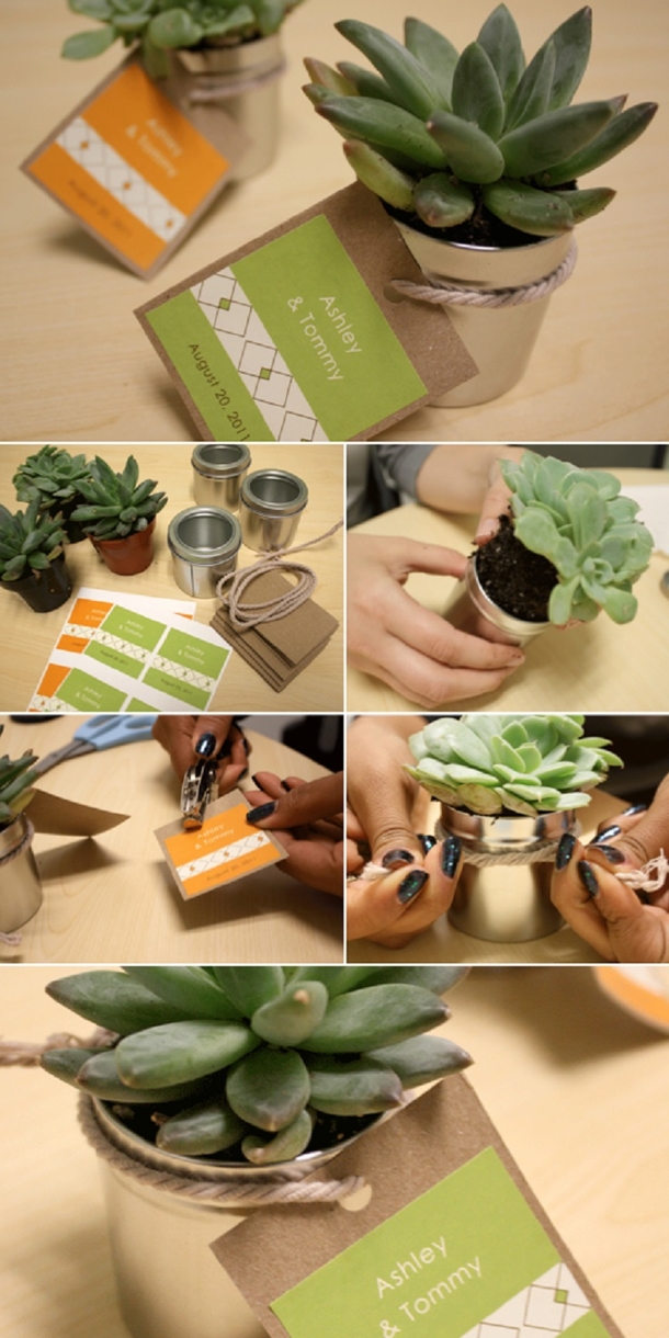 10 DIY Succulent Plant Ideas - picture 7