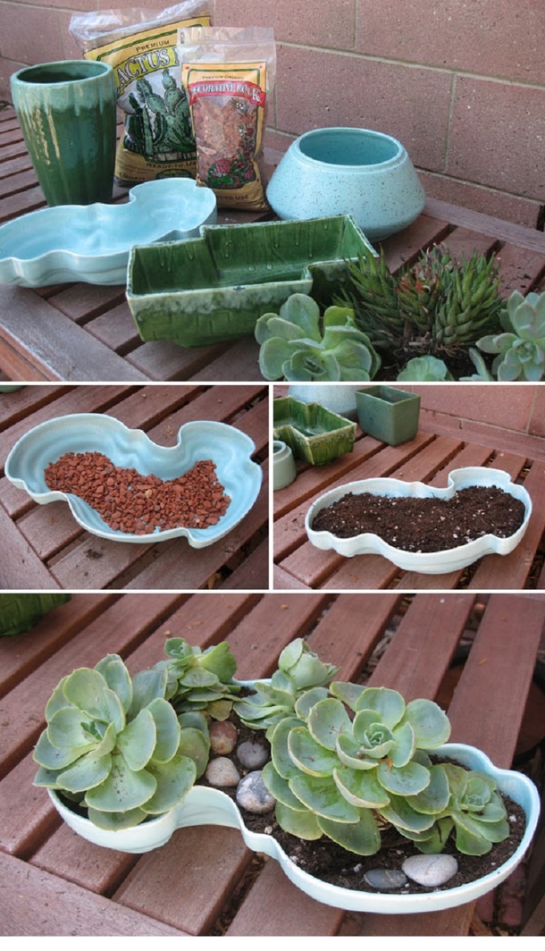 10 DIY Succulent Plant Ideas - picture 8