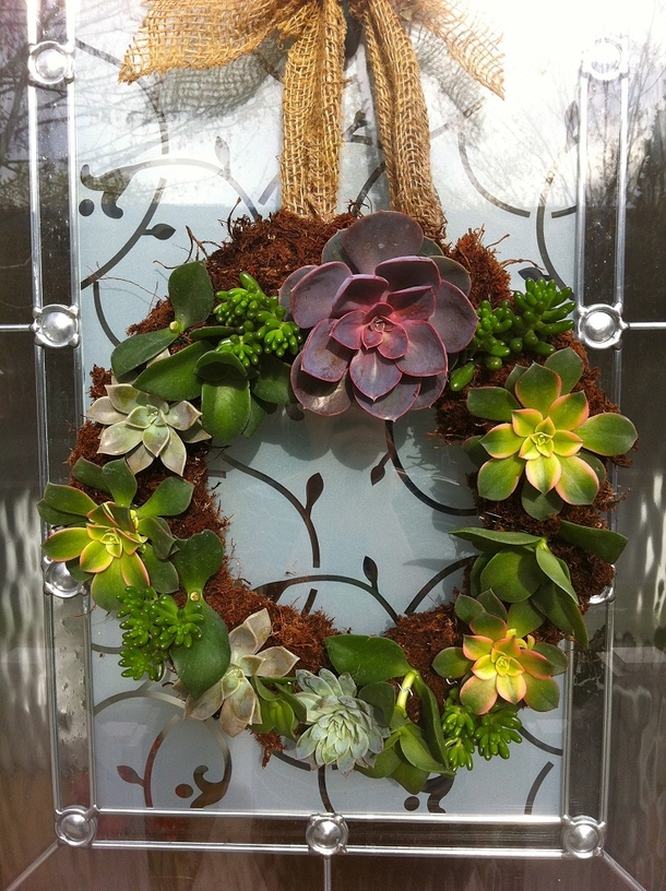 10 DIY Succulent Plant Ideas - picture 9