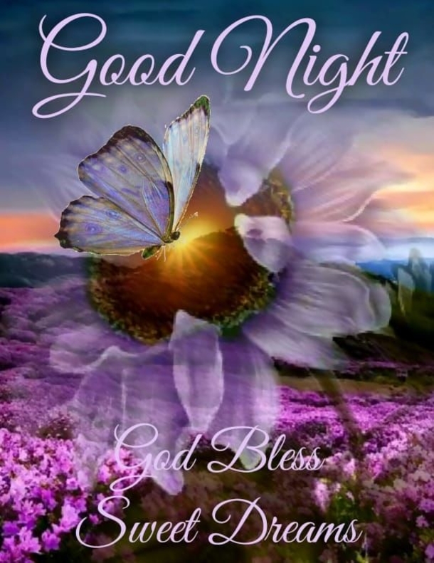 10+ Dreamy Good Night Quotes - picture 11