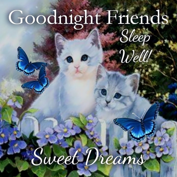 10+ Dreamy Good Night Quotes - picture 13