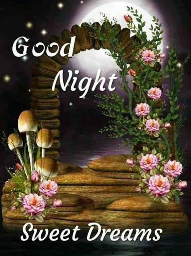 10+ Dreamy Good Night Quotes - picture 2