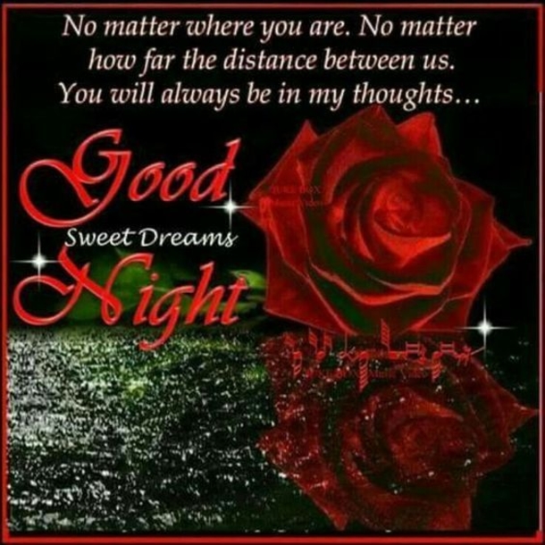 10+ Dreamy Good Night Quotes - picture 3