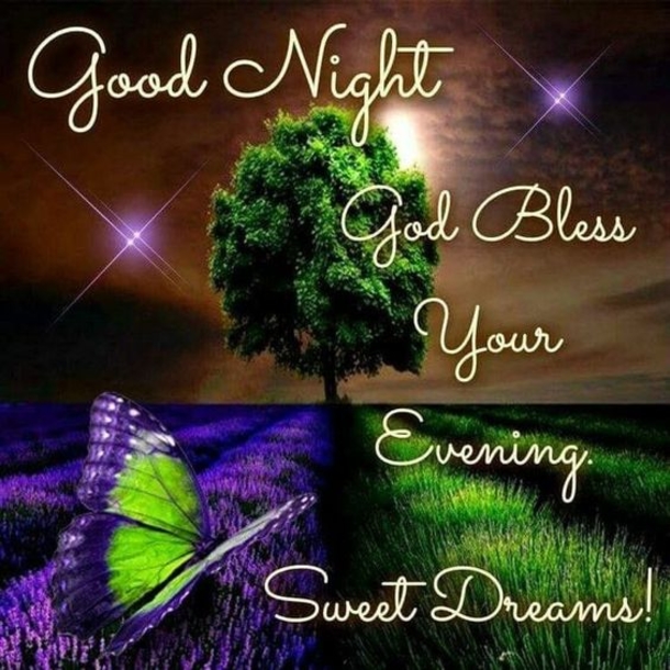 10 Dreamy Good Night Quotes And Sayings - picture 5