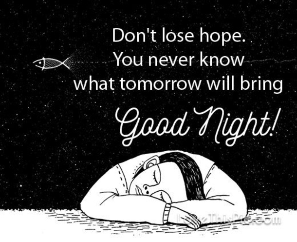 10 Dreamy Good Night Quotes And Sayings To Sweeten Your Night - picture 5