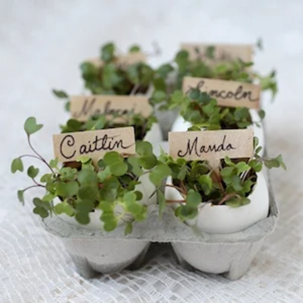 10 Easter Place Settings For The Home - picture 4