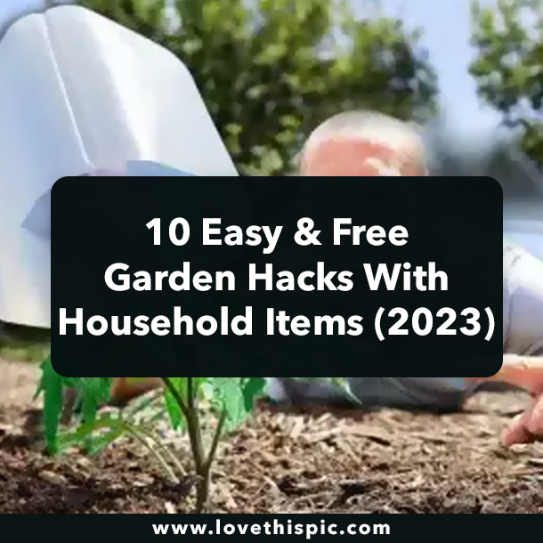 10 Easy & Free Garden Hacks With Household Items (2023)