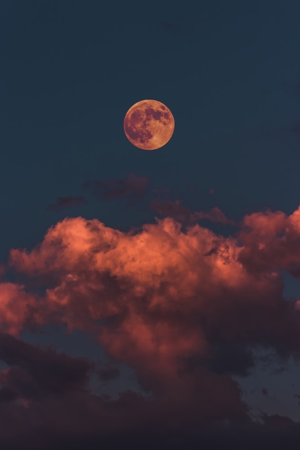 10 Eerie Halloween Images That Will Spook You - picture 2