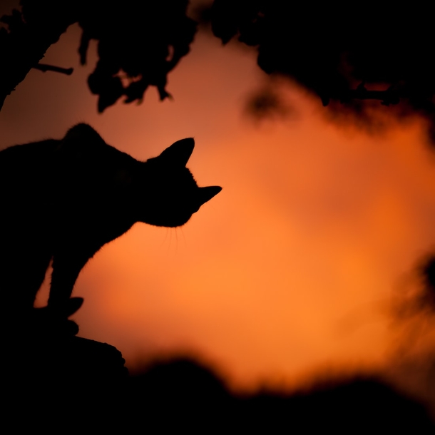 10 Eerie Halloween Images That Will Spook You - picture 3