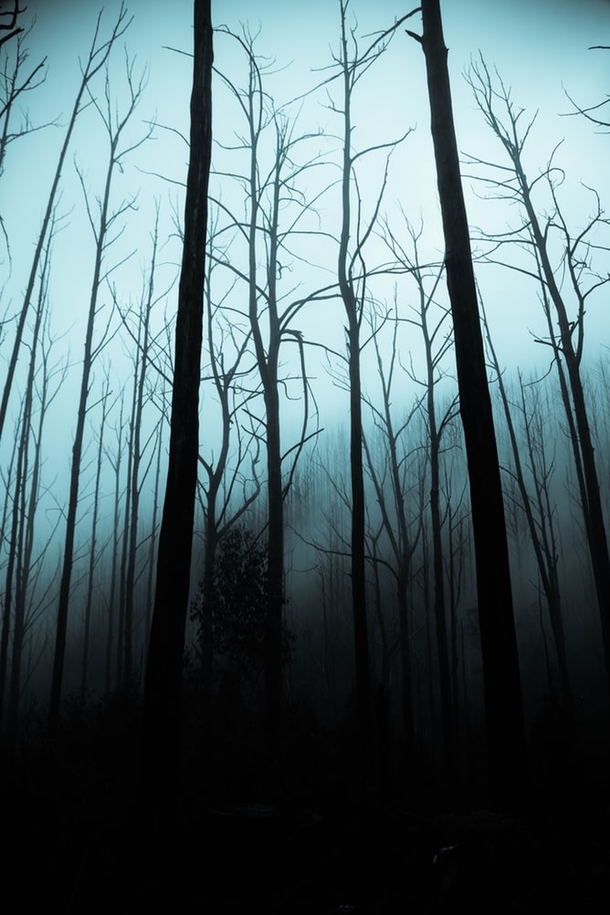 10 Eerie Halloween Images That Will Spook You - picture 4