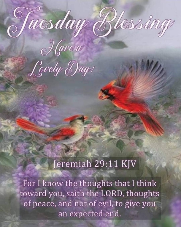 10 Encouraging & Inspiring Tuesday Quotes, Greetings And Wishes For 2023 - picture 3