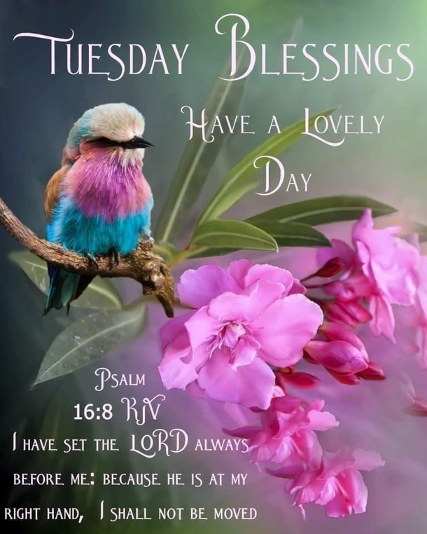 10 Encouraging & Inspiring Tuesday Quotes, Greetings And Wishes For 2023 - picture 4