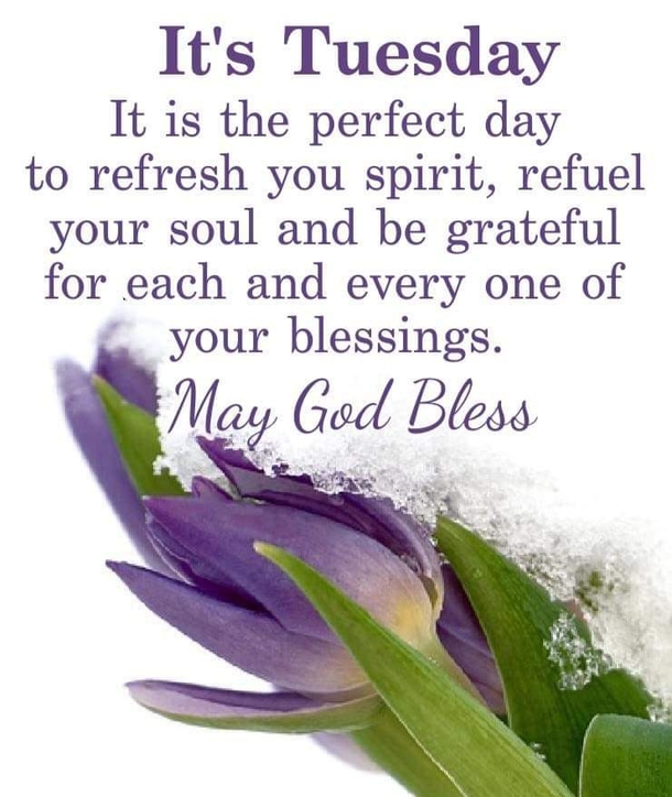 10 Encouraging & Inspiring Tuesday Quotes, Greetings And Wishes For 2023 - picture 5
