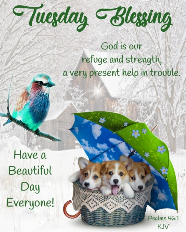 10 Encouraging & Inspiring Tuesday Quotes, Greetings And Wishes For 2023 - picture 7