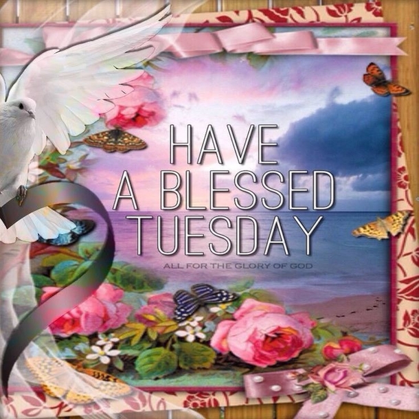 10 Encouraging & Inspiring Tuesday Quotes, Greetings And Wishes For 2023 - picture 8