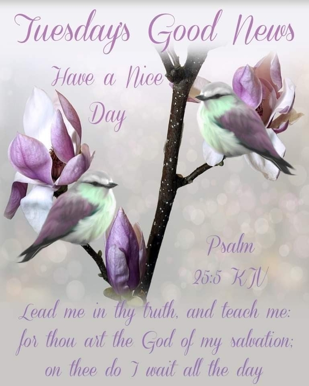 10 Encouraging & Inspiring Tuesday Quotes, Greetings And Wishes For 2023 - picture 9