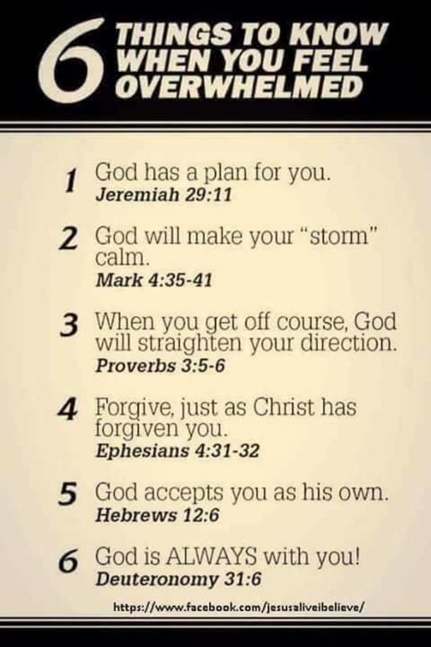10 Enlightening And Powerful Quotes Speaking On The Word Of God - picture 12