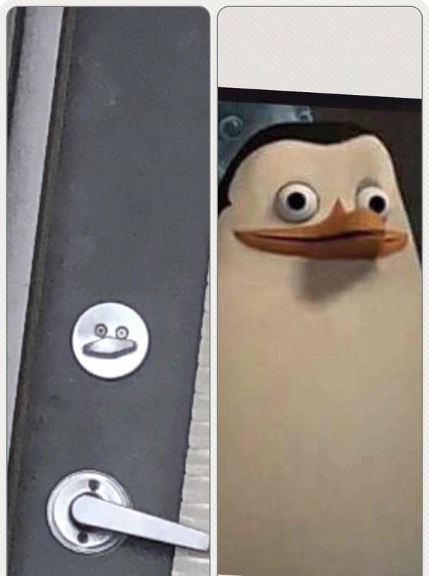 10 Entertaining Memes For The Day - picture 11
