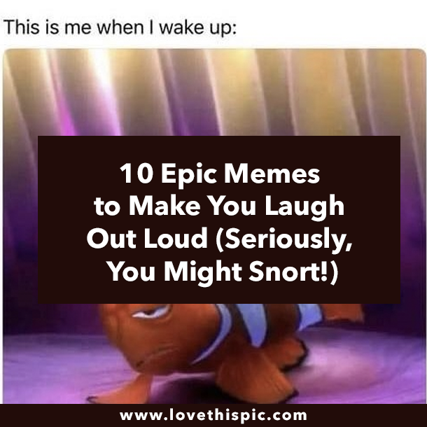 10 Epic Memes to Make You Laugh Out Loud (Seriously, You Might Snort!)