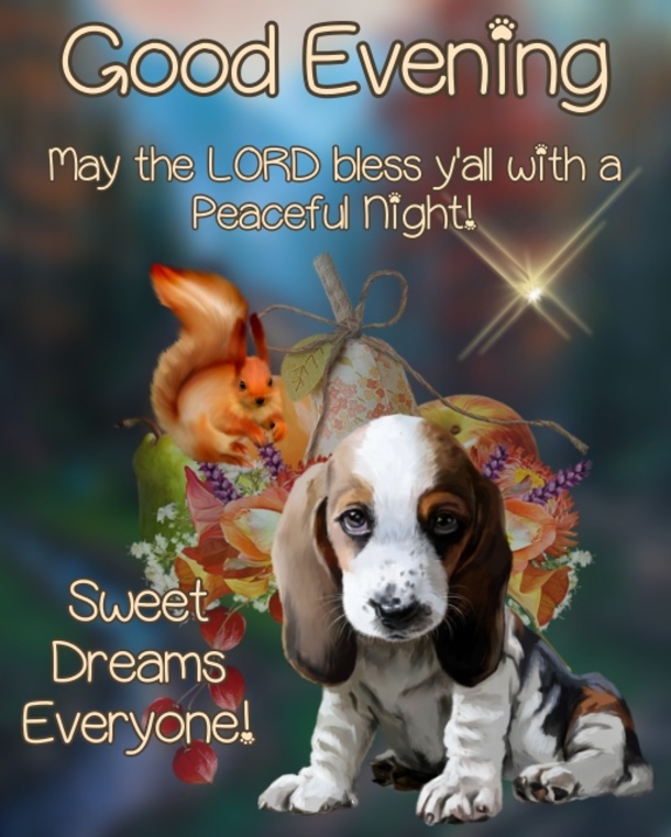 10 Evening Quotes And Sayings To Give You A Blessed Night - picture 11