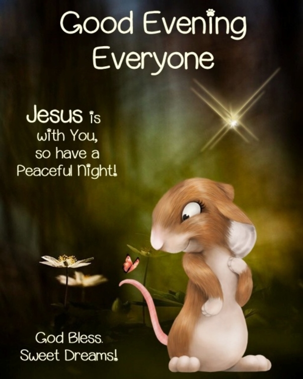 10 Evening Quotes And Sayings To Give You A Blessed Night - picture 6