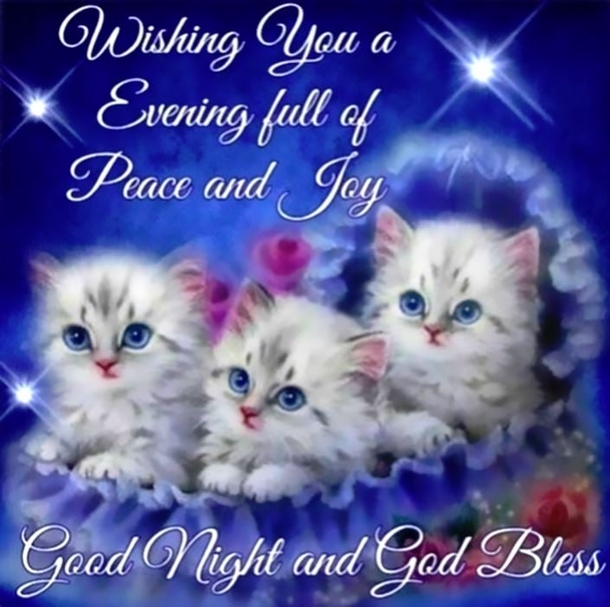 10 Evening Quotes Blessings To Have A Good Night - picture 10